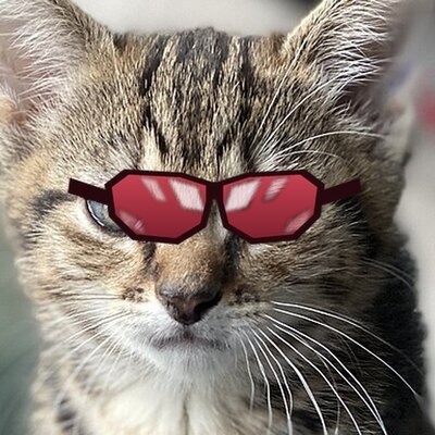 Kitten in red sunglasses